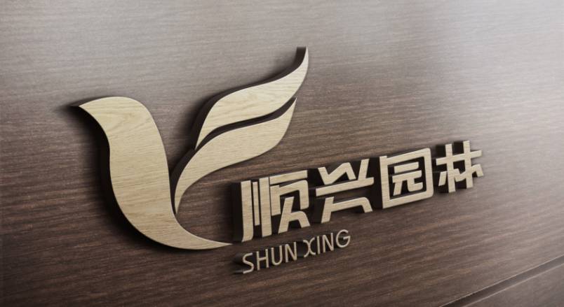 沈丘县VI设计：城市品牌蝶变的核心引擎